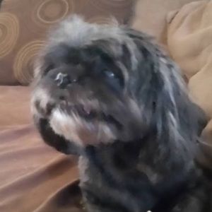 Meet your Posher, Natalya